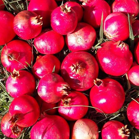 Kallimos Vasiliki  Ngoại thất bức ảnh