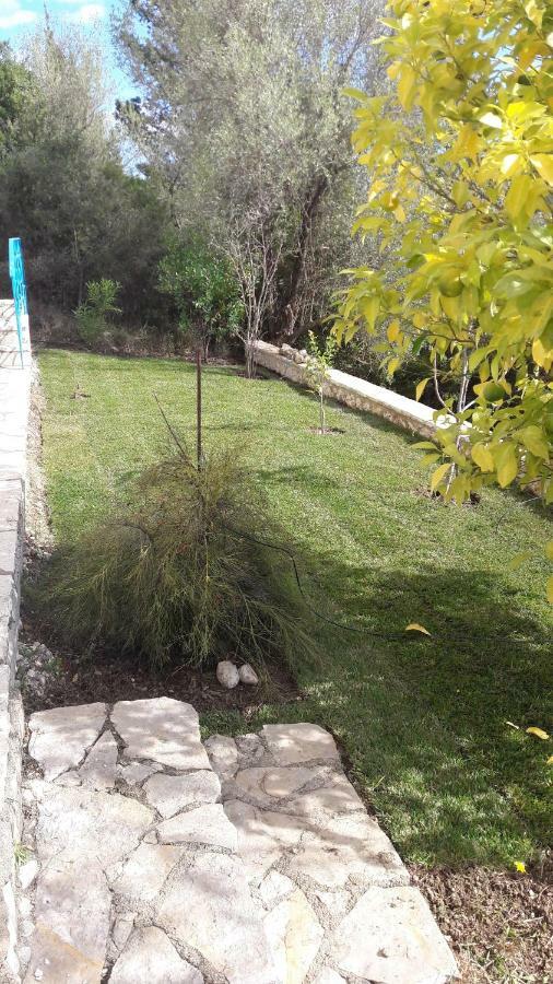 Kallimos Vasiliki  Ngoại thất bức ảnh