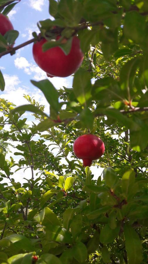 Kallimos Vasiliki  Ngoại thất bức ảnh
